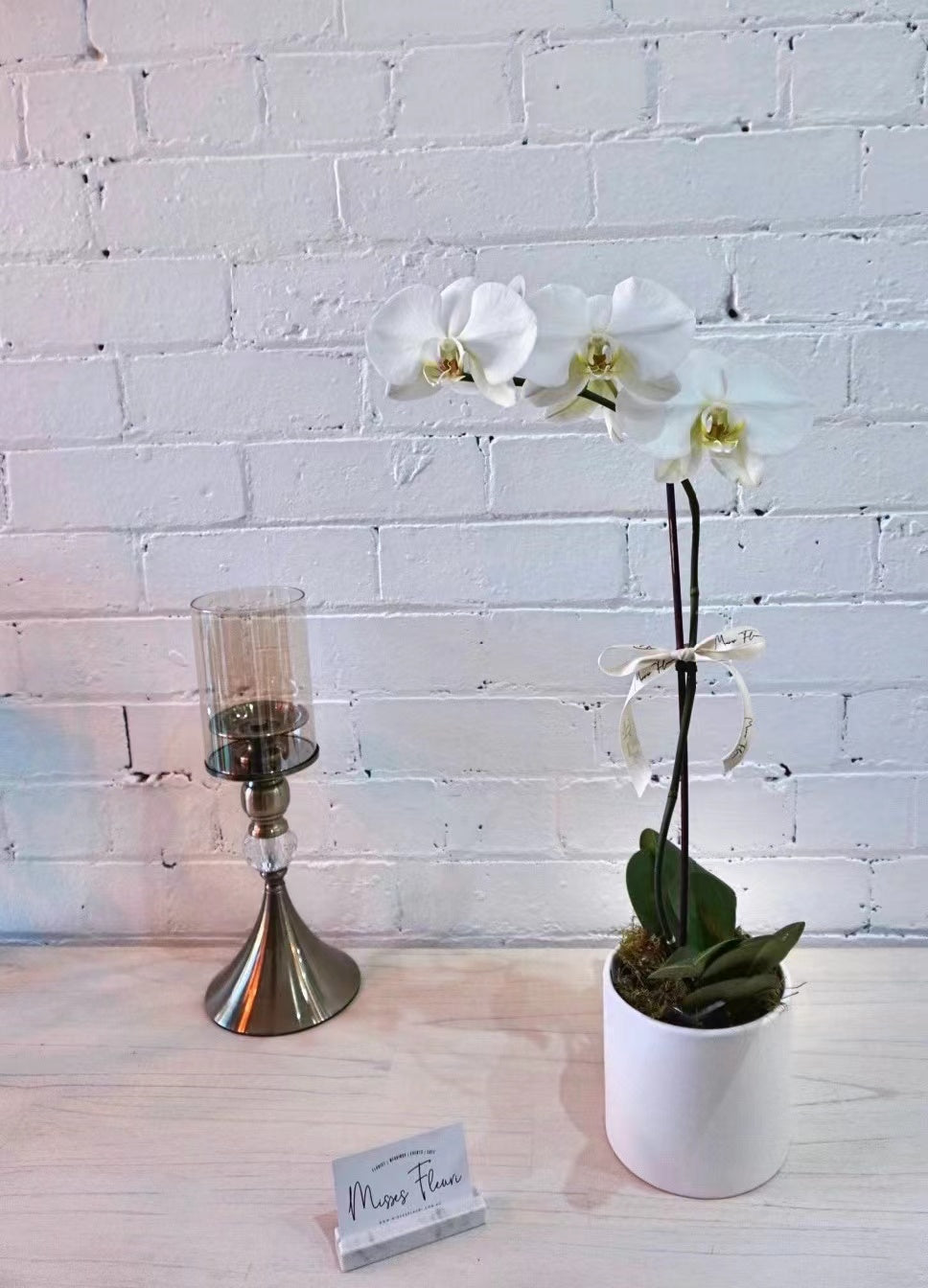 White phalaenopsis orchid in a pot from Misses Fleuri Melbourne